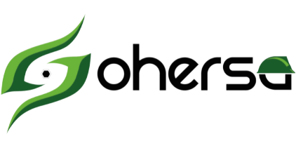 SohersaBIM's logo